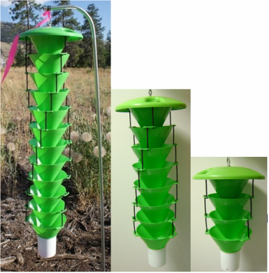 Frontiers  Trap Designs, Colors, and Lures for Emerald Ash Borer Detection